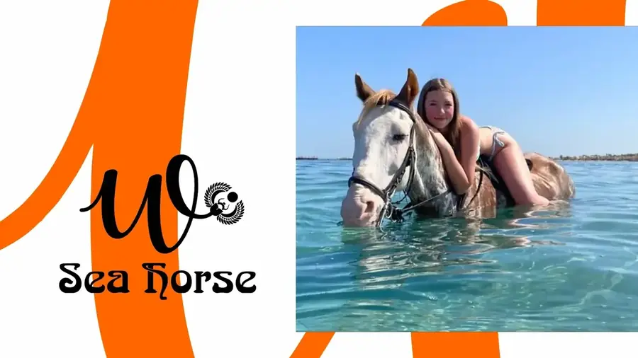 Horse Riding in El Gouna | Sea Horse Trip by the Red Sea