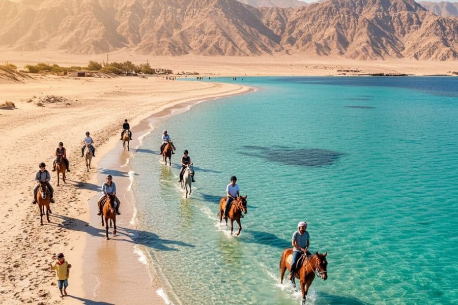 Sea Horse Trip El Gouna