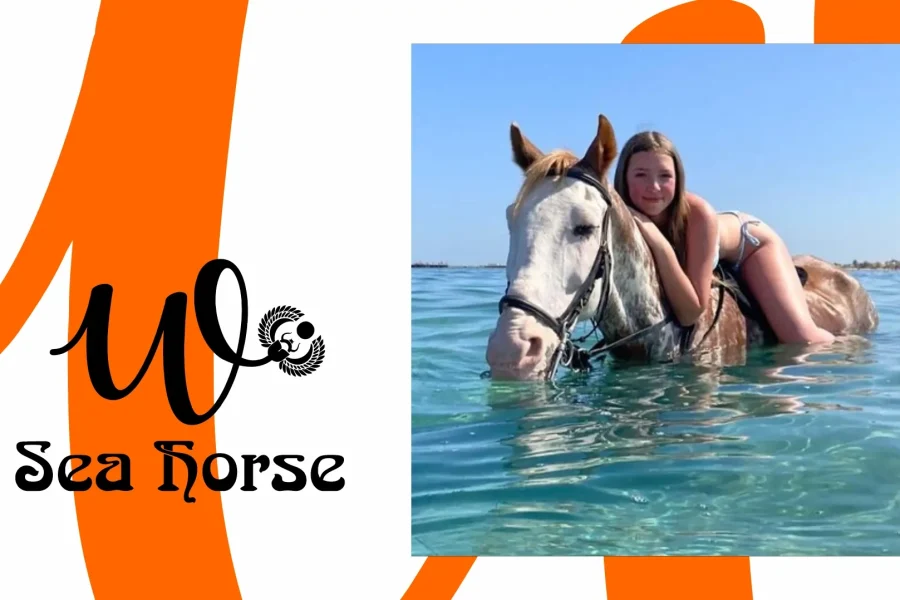Horse Riding in El Gouna